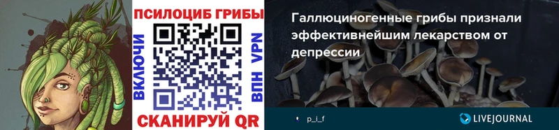 Псилоцибиновые грибы ЛСД  Купить где  Исилькуль 